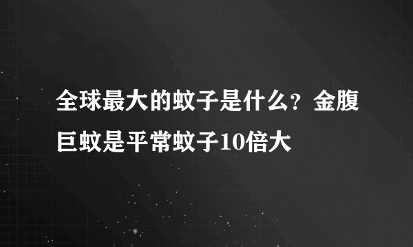 全球最大的蚊子是什么？金腹巨蚊是平常蚊子10倍大