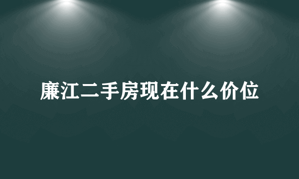 廉江二手房现在什么价位