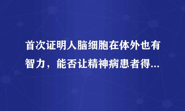 首次证明人脑细胞在体外也有智力，能否让精神病患者得到有效治疗吗？