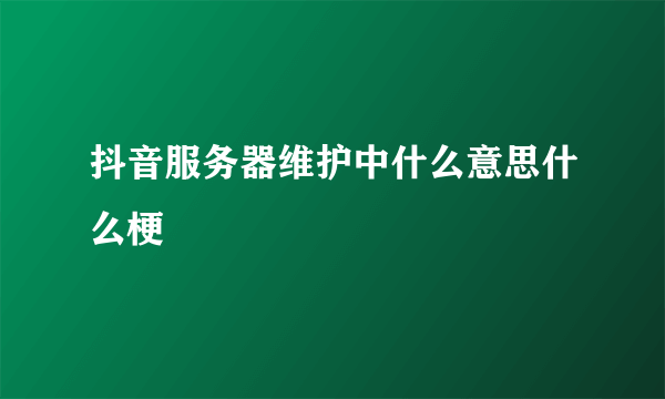 抖音服务器维护中什么意思什么梗