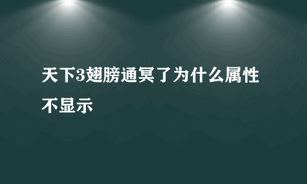 天下3翅膀通冥了为什么属性不显示