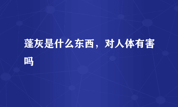 蓬灰是什么东西，对人体有害吗