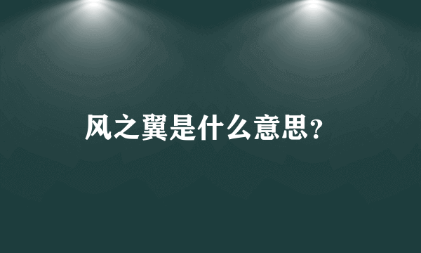 风之翼是什么意思？