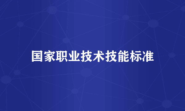 国家职业技术技能标准