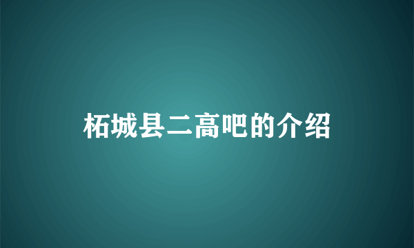 柘城县二高吧的介绍