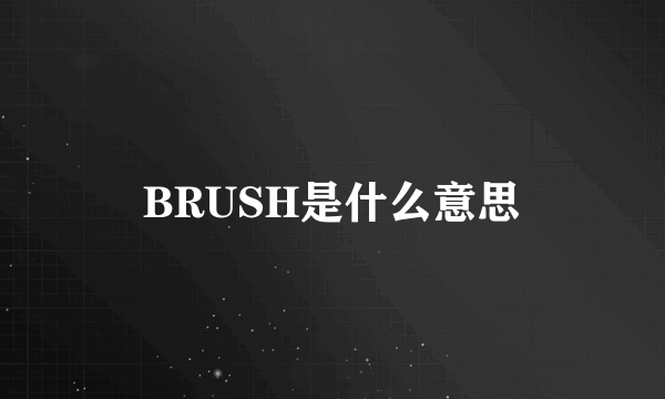 BRUSH是什么意思