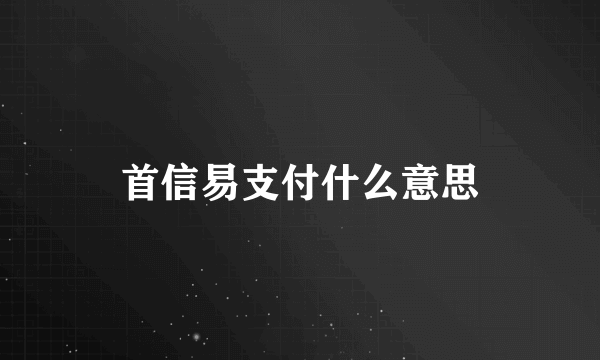 首信易支付什么意思