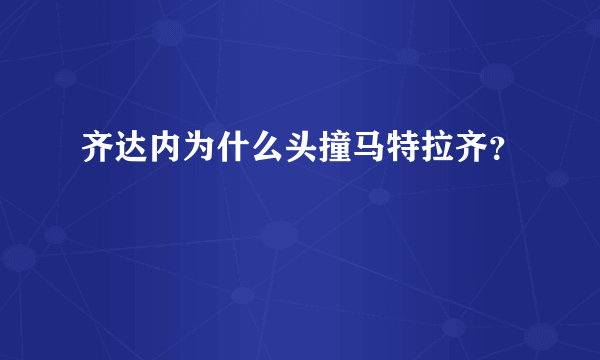 齐达内为什么头撞马特拉齐？