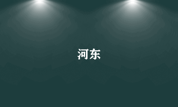 河东