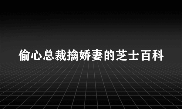 偷心总裁擒娇妻的芝士百科