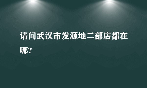 请问武汉市发源地二部店都在哪?