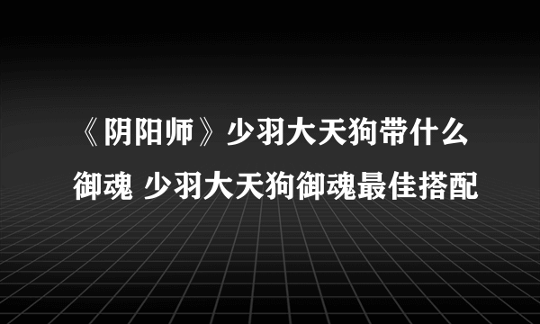 《阴阳师》少羽大天狗带什么御魂 少羽大天狗御魂最佳搭配