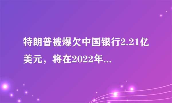 特朗普被爆欠中国银行2.21亿美元，将在2022年到期，你有何看法？