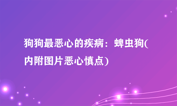 狗狗最恶心的疾病：蜱虫狗(内附图片恶心慎点)