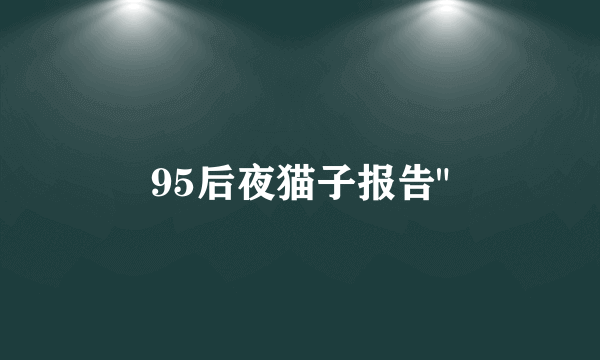 95后夜猫子报告