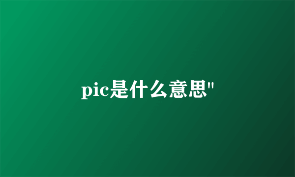 pic是什么意思