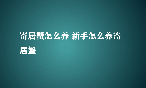 寄居蟹怎么养 新手怎么养寄居蟹