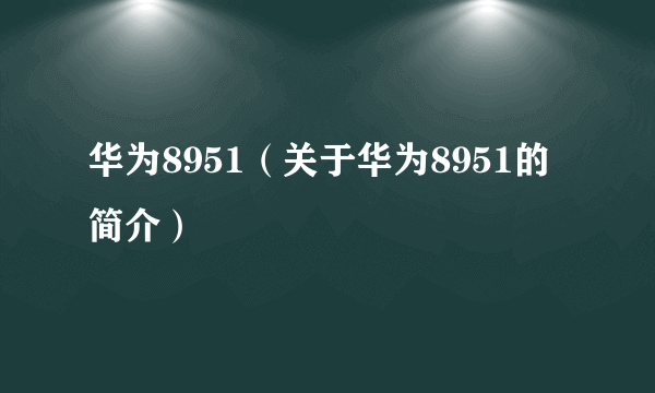 华为8951（关于华为8951的简介）