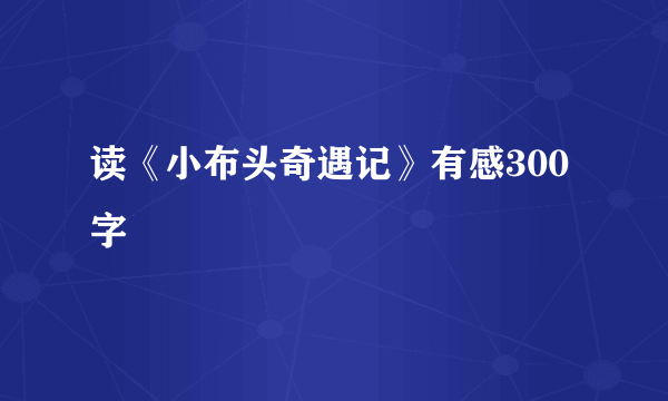 读《小布头奇遇记》有感300字