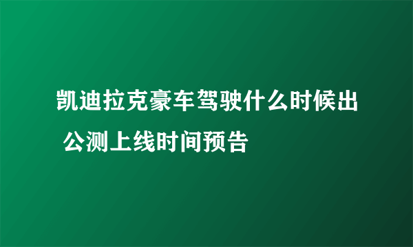 凯迪拉克豪车驾驶什么时候出 公测上线时间预告