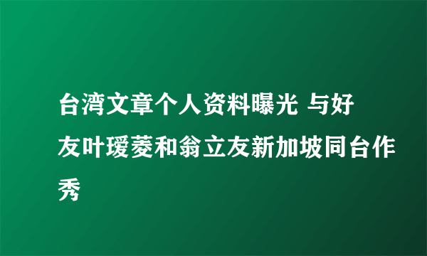 台湾文章个人资料曝光 与好友叶瑷菱和翁立友新加坡同台作秀