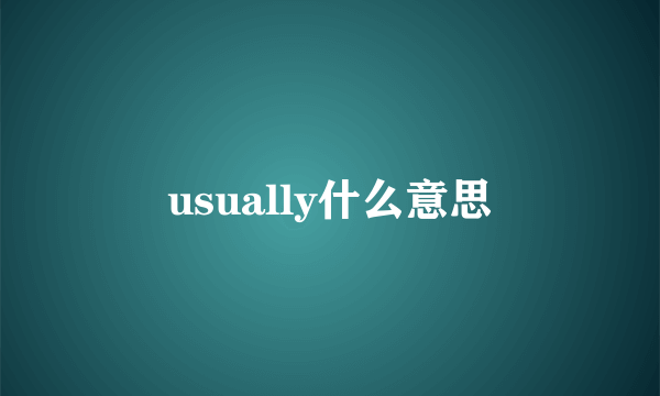 usually什么意思