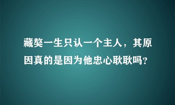 藏獒一生只认一个主人，其原因真的是因为他忠心耿耿吗？