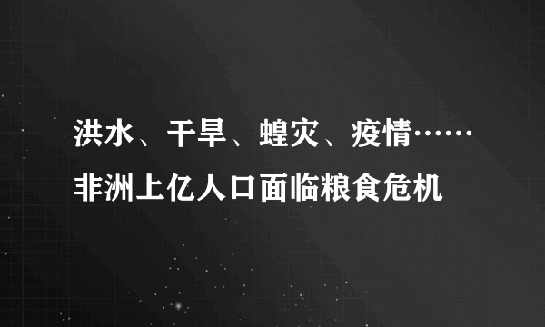 洪水、干旱、蝗灾、疫情……非洲上亿人口面临粮食危机