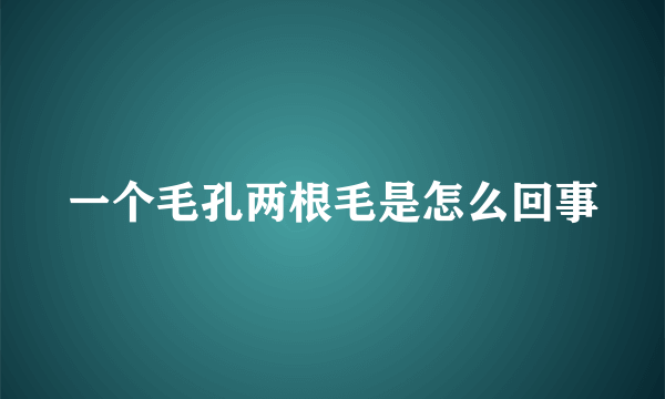 一个毛孔两根毛是怎么回事