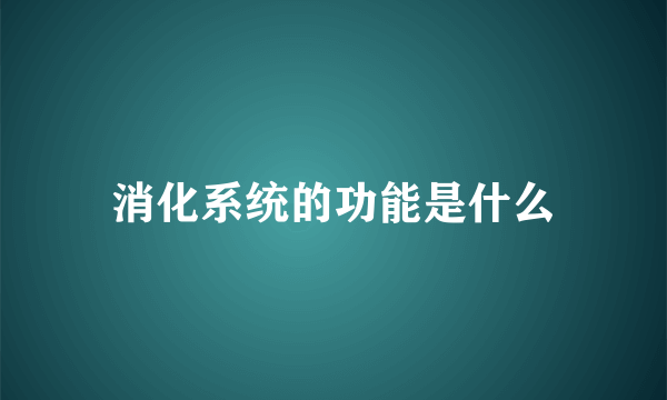 消化系统的功能是什么