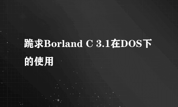 跪求Borland C 3.1在DOS下的使用