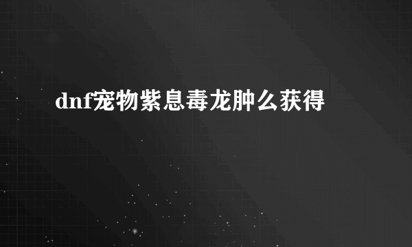 dnf宠物紫息毒龙肿么获得