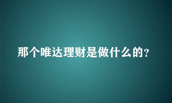 那个唯达理财是做什么的？