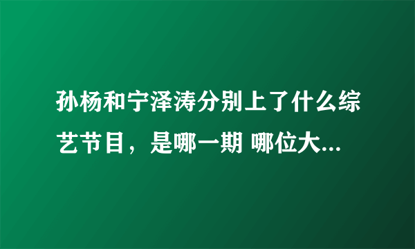 孙杨和宁泽涛分别上了什么综艺节目，是哪一期 哪位大神可以给列个全