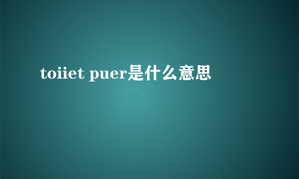 toiiet puer是什么意思