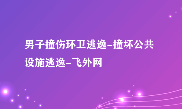 男子撞伤环卫逃逸-撞坏公共设施逃逸-飞外网