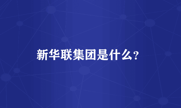 新华联集团是什么？