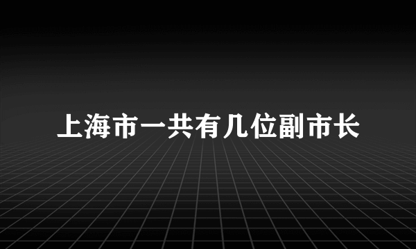 上海市一共有几位副市长