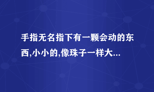 手指无名指下有一颗会动的东西,小小的,像珠子一样大会动,是什么，