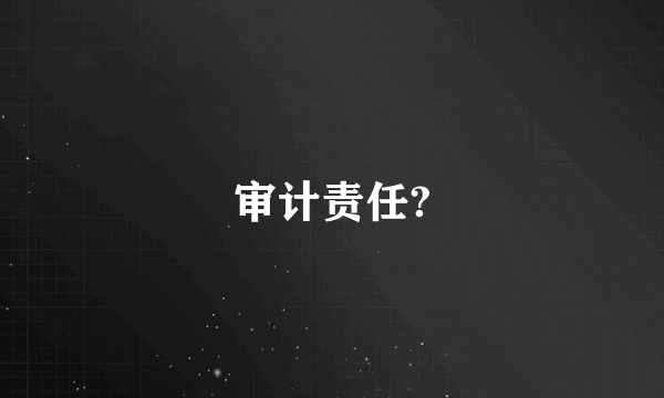 审计责任?