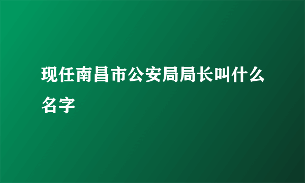 现任南昌市公安局局长叫什么名字