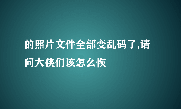 的照片文件全部变乱码了,请问大侠们该怎么恢復