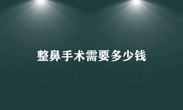 整鼻手术需要多少钱