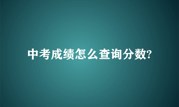 中考成绩怎么查询分数?