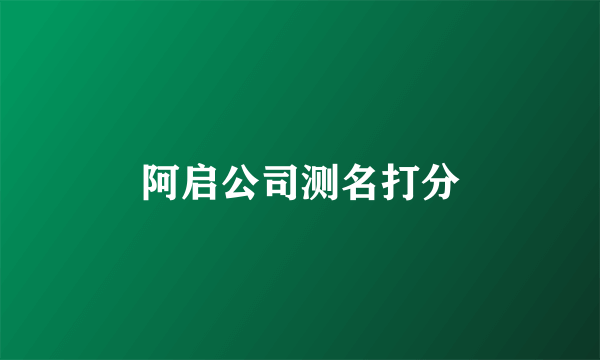 阿启公司测名打分