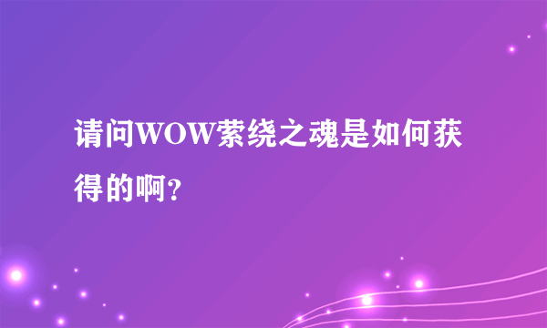 请问WOW萦绕之魂是如何获得的啊？