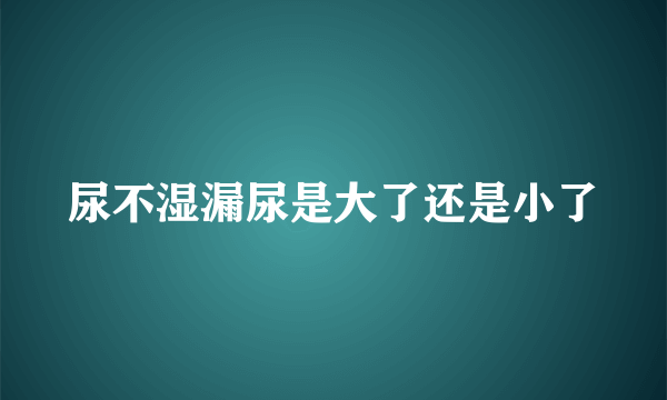 尿不湿漏尿是大了还是小了