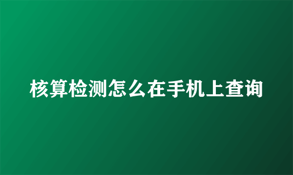 核算检测怎么在手机上查询