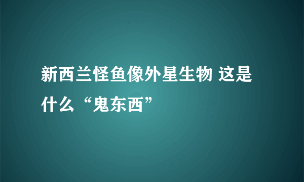 新西兰怪鱼像外星生物 这是什么“鬼东西”