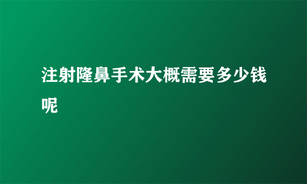 注射隆鼻手术大概需要多少钱呢